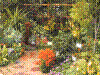 flower show2004 059.jpg